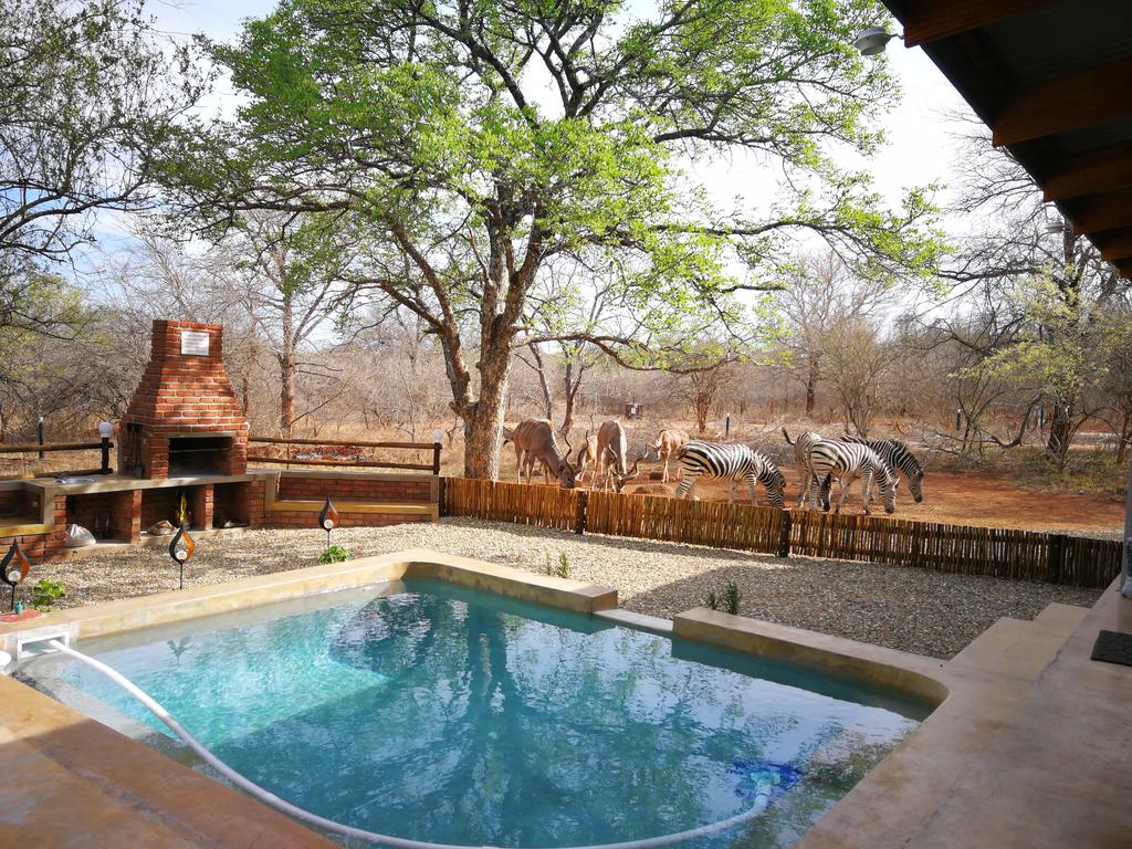Flight of the Eagle @ Kruger - Image 31