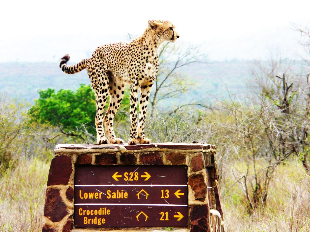 Green Kruger Lodge - Image 26