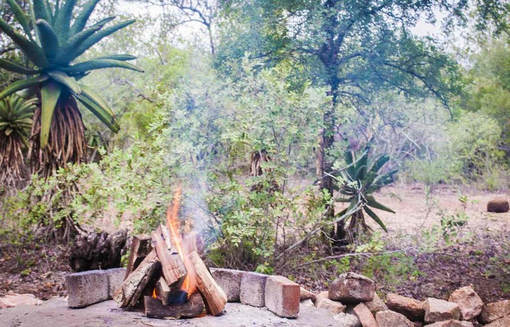 Green Kruger Lodge - Image 40