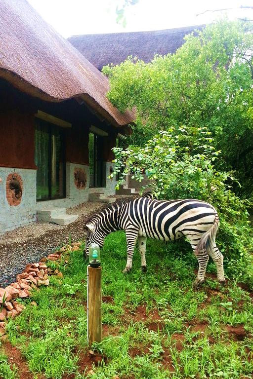 Green Kruger Lodge - Image 45