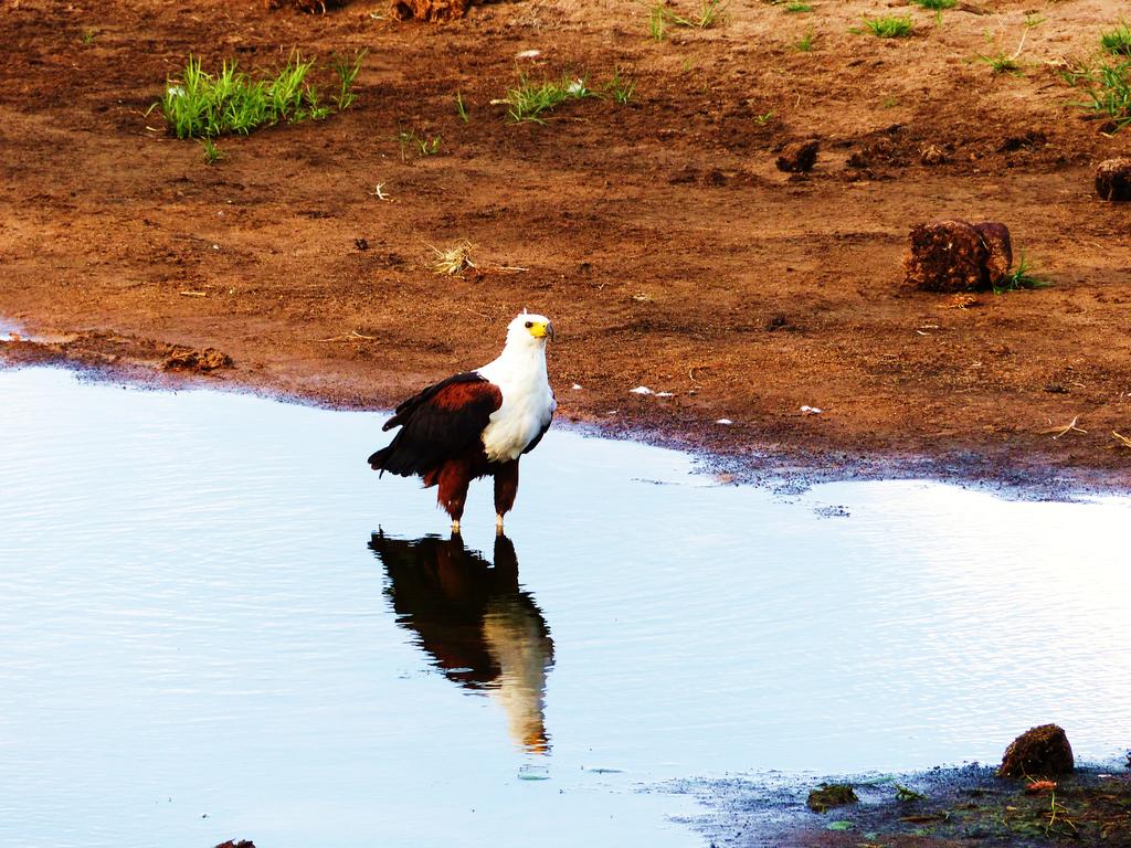 Green Kruger Lodge - Image 5