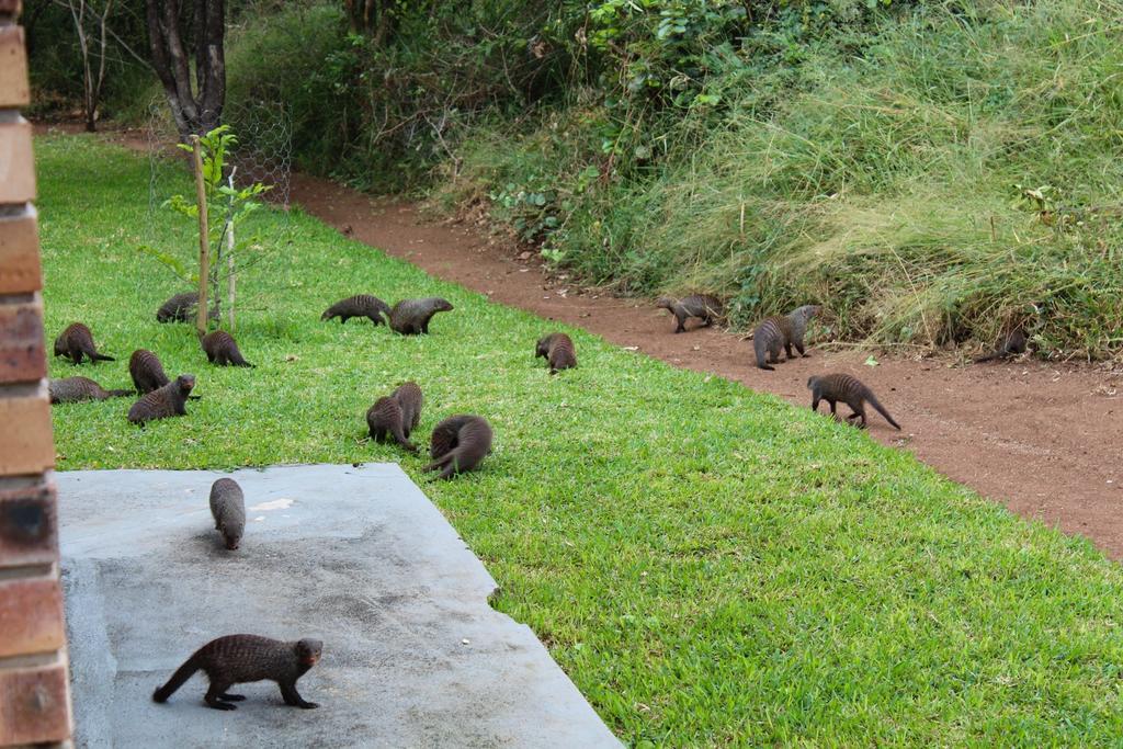 Kruger Afrique Lodge - Image 33