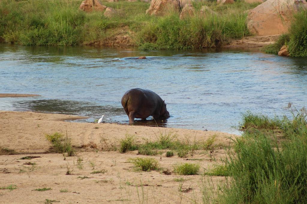 Kruger Afrique Lodge - Image 34
