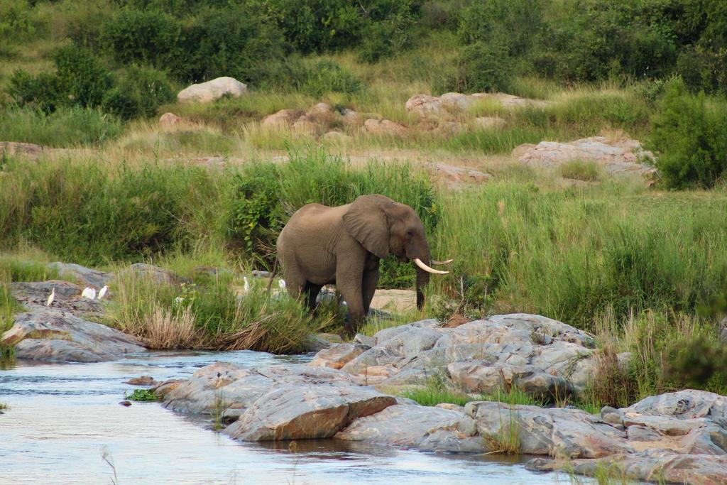 Kruger Afrique Lodge - Image 35