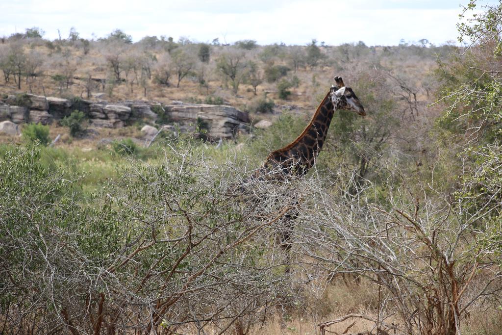 Kruger Castle - Image 17