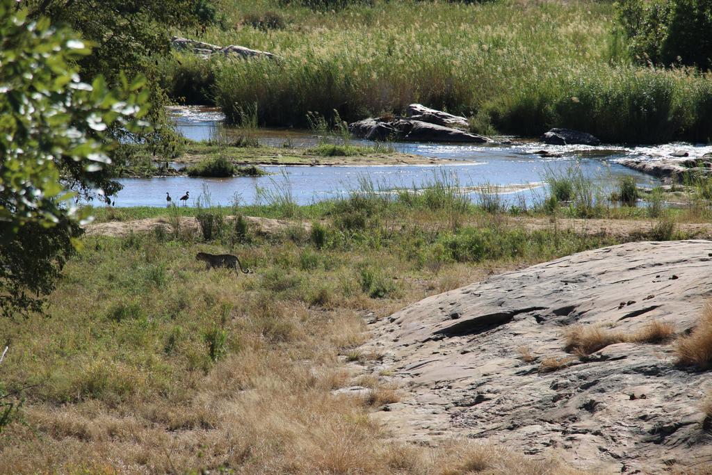 Kruger Castle - Image 19
