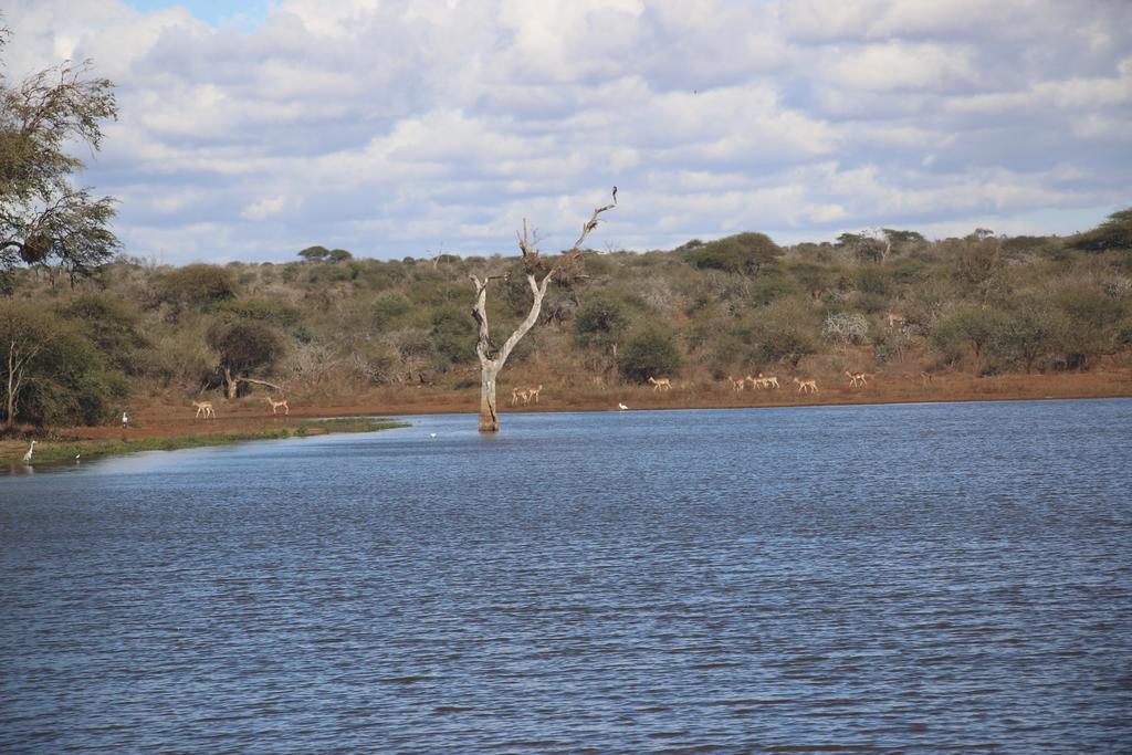 Kruger Castle - Image 20
