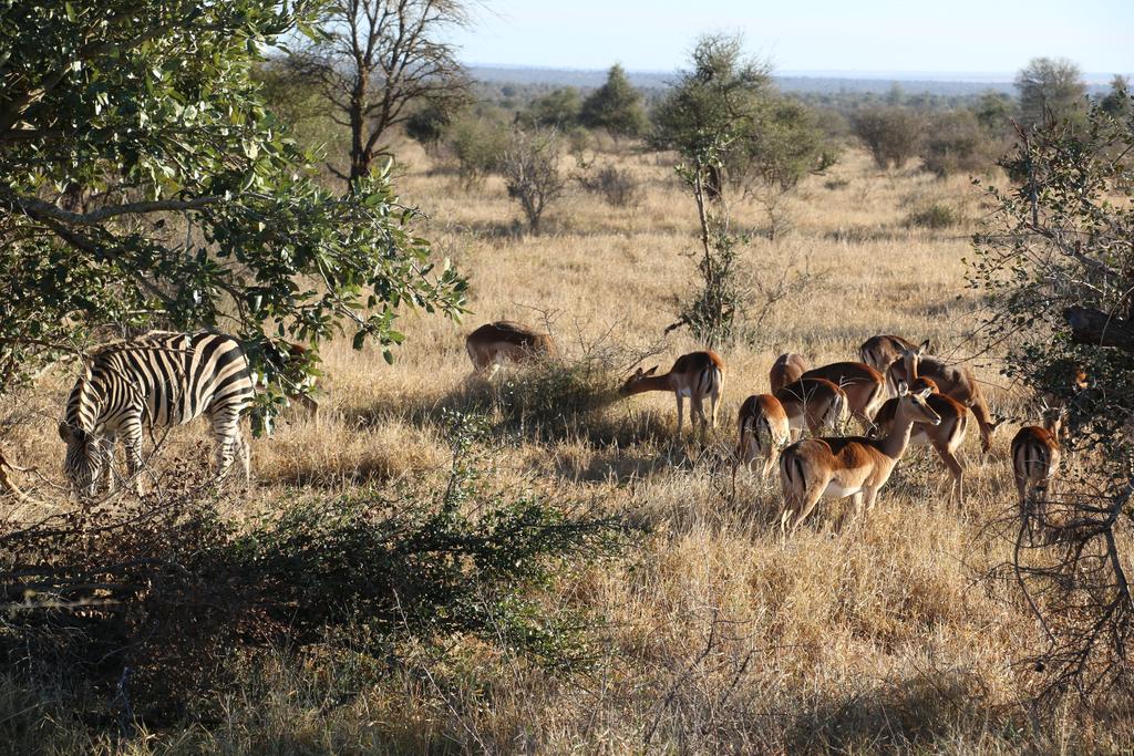 Kruger Castle - Image 22