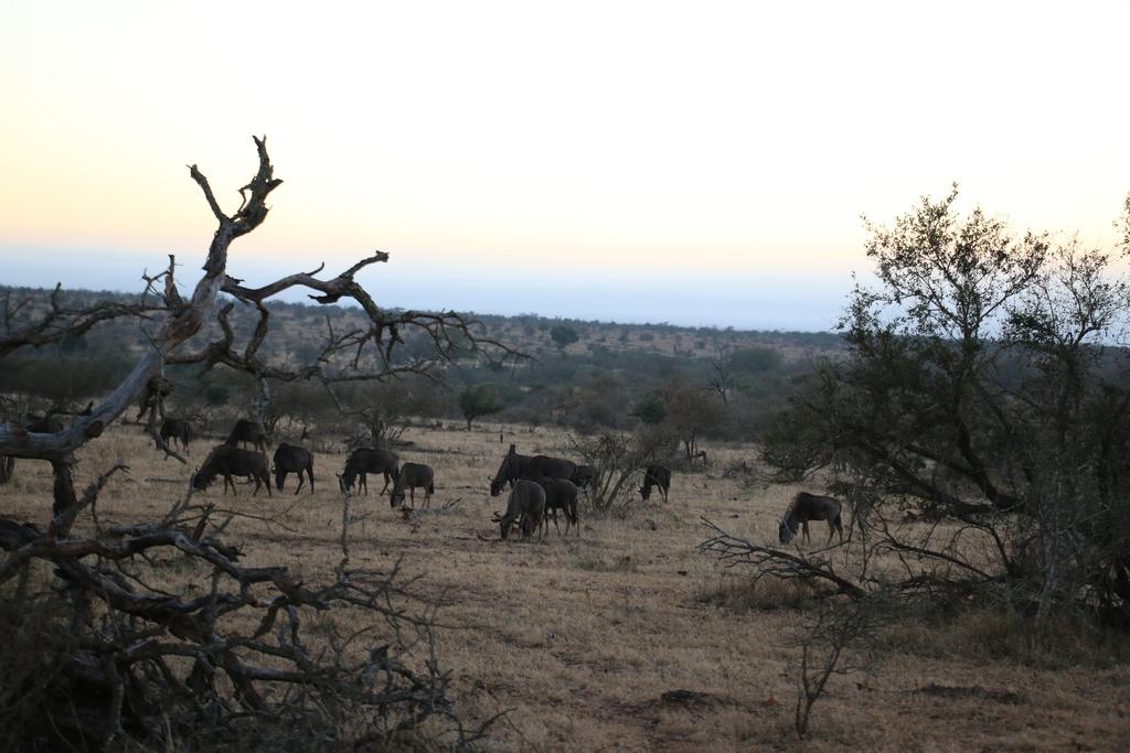 Kruger Castle - Image 36