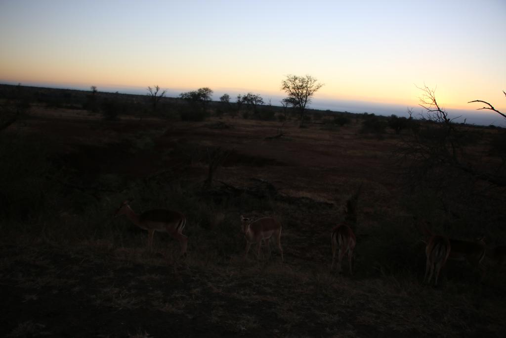 Kruger Castle - Image 37
