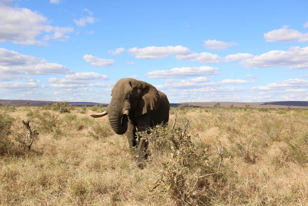 Kruger Castle - Image 8