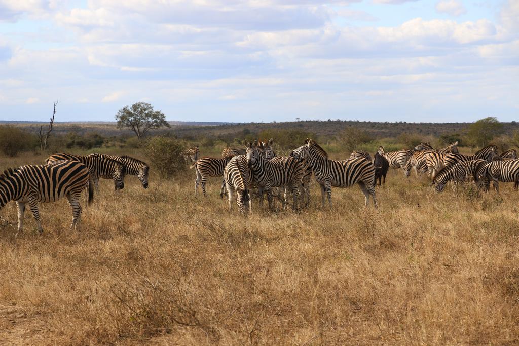 Kruger Castle - Image 9
