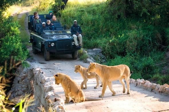 Kruger Park Lodge 401 - Image 16