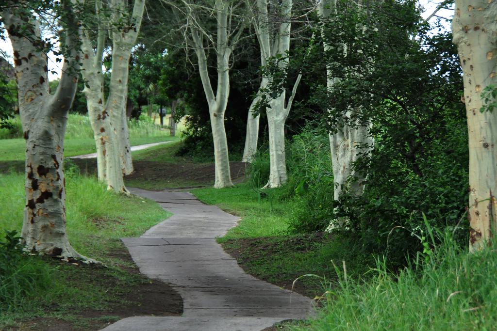 Kruger Park Lodge Unit No. 266 - Image 36