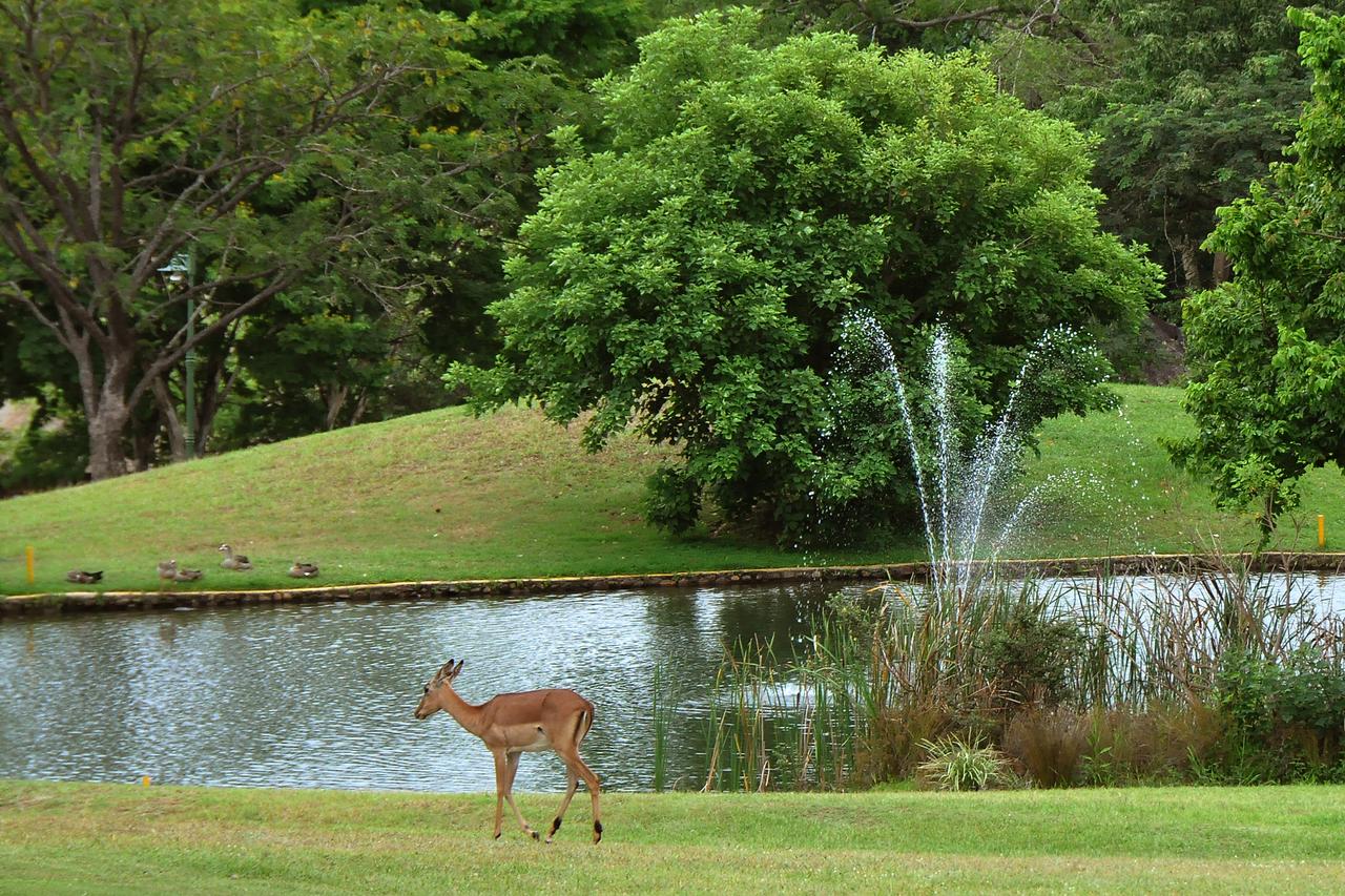 Kruger Park Lodge Unit No. 524 - Image 33