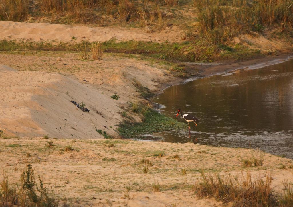 Kruger River Self-Catering - Image 30