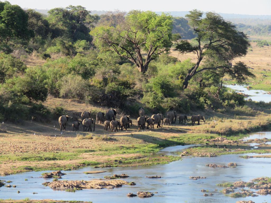 Kruger View Tree House - Image 21