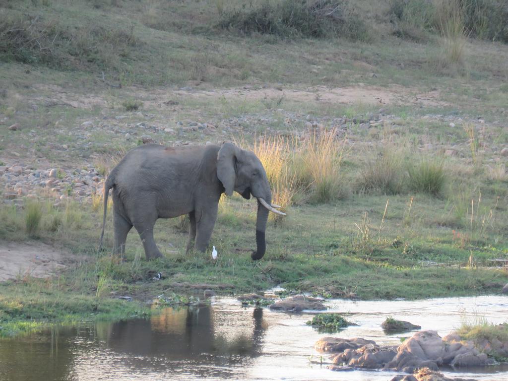 Kruger View Tree House - Image 22