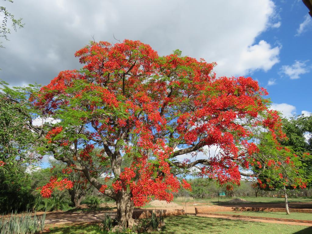Kruger View Tree House - Image 27
