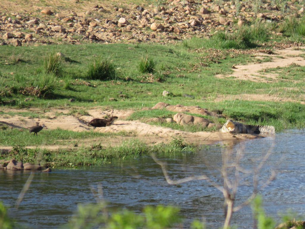 Kruger View Tree House - Image 28